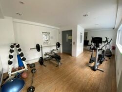 Radiance @ Bukit Timah (D21), Terrace #485923161